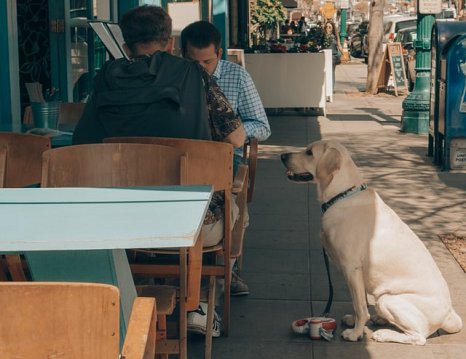 Al Fresco Eating is Back but How’s your Clean Up?