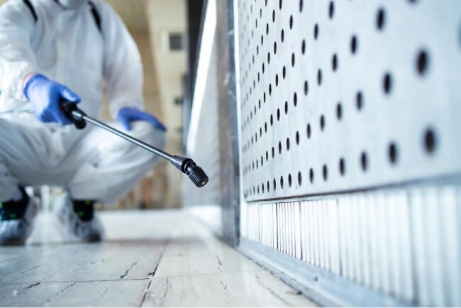 ceiling-cleaning