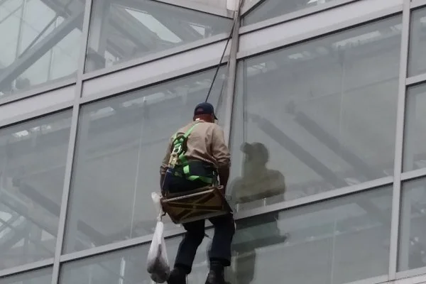 Roof Cleaning