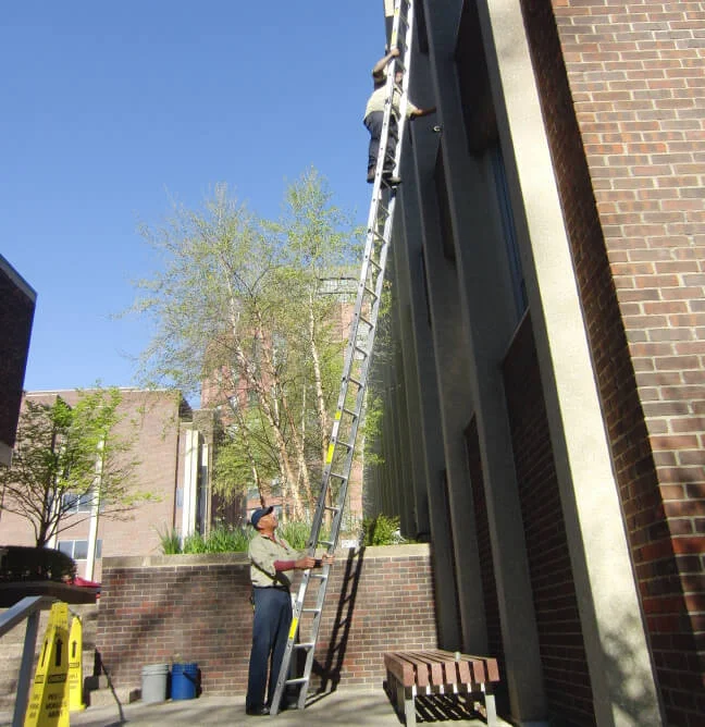 window-cleaning